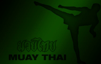 Martial Arts Wallpaper HD