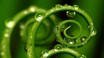 HD Wallpaper You Are Ing The Nature Named Green Water