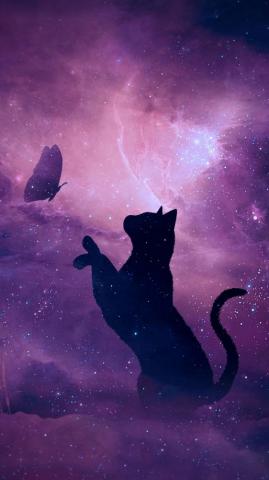 Cat Galaxy Wallpaper On