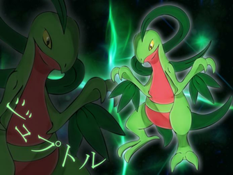 Grovyle Wallpaper Ls
