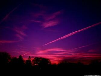 Purple Red Wallpaper