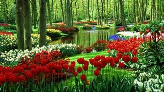 Flower Garden
