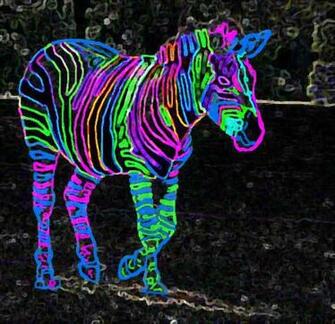 Go Back Pix For Bright Neon Zebra Wallpaper