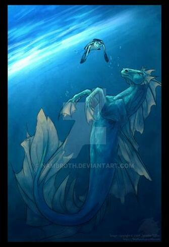 Equines Of Deviantart Hippocampus Feature By Jacij