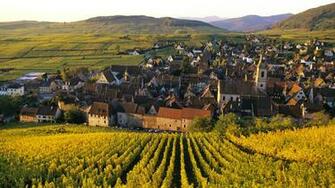 Vineyard Buildings Field Alsace Town HD Wallpaper Nature And