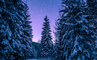 4k Winter Wallpaper High Quality