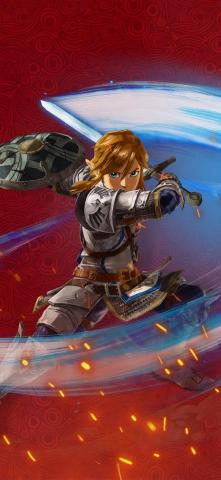 Hyrulewarriors Ac Link Cat With Monocle