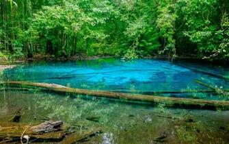 Wallpaper Thailand Emerald Lake Hot Springs Forest