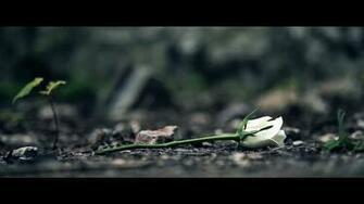Filmmaking Wallpaper 5d Cinematography HD