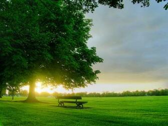 Beautiful Nature Wallpaper Green