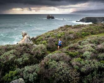 Url Runnersworld Where Run Rave Big Sur California