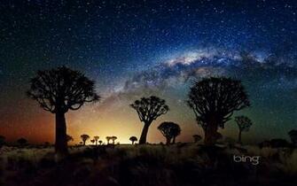 Bing Wallpaper Daily March