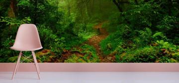 Forest Wallpaper Archives Robin Sprong