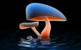 HD Wallpaper Abstract Mellow Mushroom Lake For Mobile Phones