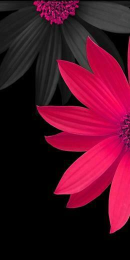 Of The Most Popular Galaxy S8 Wallpaper