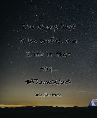 Quotes About I Ve Always Kept A Low Profile And Like It That