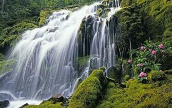 Nature Wallpaper Windows