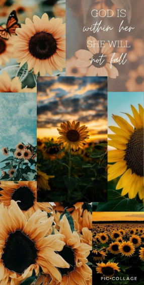 Aesthetic Sunflower Wallpaper