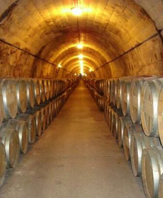 Wine Cellar Wallpaper Penedes