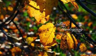 Holiday With Original Thanksgiving Wallpaper Designed By Kate Net