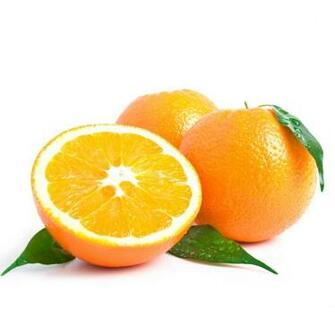 Orange White Background Image All