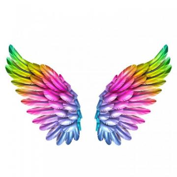 Amaonm Removable 3d Colorful Wings Wall Stickers Diy Pvc Home