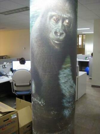Our Skilled Professional Wallpaper Hangers Installed Murals To This