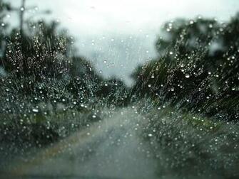 139755d1371018224 Rainy Wallpaper Photos1280x600 Jpg