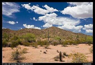 Desert Landscape Sonoran National Monument Arizona Usa