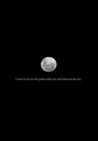 Defne On Sorry Moon Quotes Wallpaper
