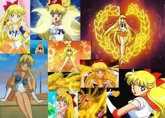 Sailor Venus Wallpaper