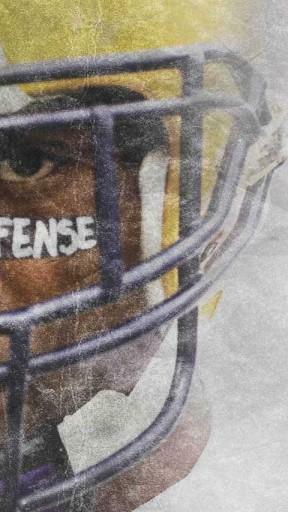 Bigger Lsu Wallpaper For Android Screenshot