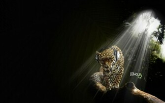 New Wallpaper 3d High Quality Well Designed