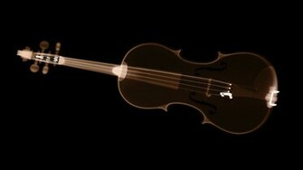 Ray Violin Wallpaper