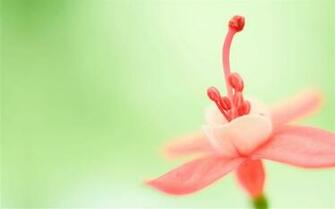 Windows Rtm HD Fond D Cran Aper U 10wallpaper