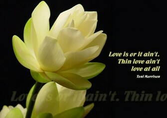 Incredible Pictures The Beautiful Quotes
