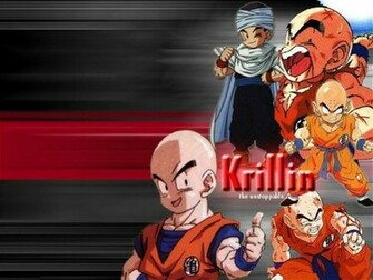 For My Mate Krillin Dragon Ball Z Photo