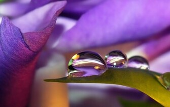 Cool Water Drops Wallpaper