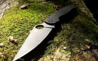 Wallpaper Tree Knife Spyderco Paramilitary Moss