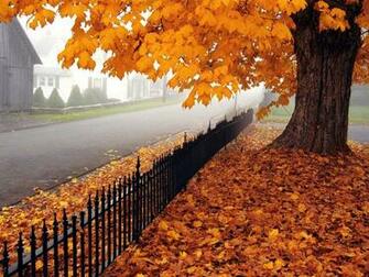 3d Wallpaper For Pc Full Screen