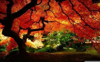 Beautiful Autumn 4k HD Desktop Wallpaper For Dual Monitor