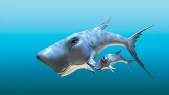 Wallpaper Cartoon Shark HD Background Desktop