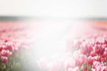 Funeral Background Pictures Watercolor