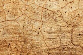 Background Links Image And Photos Collection