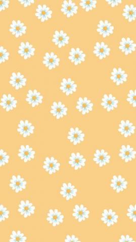Summer Wallpaper For iPhone Sun Filled Background