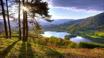 Sunny Day Wallpaper