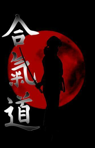 Aikido By Stecmir