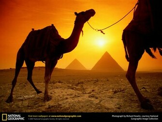 Egypt Pyramids HD Wallpaper Jessica Alba iPhone