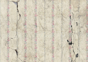 Fix Damaged Wallpaper Lifestyle News