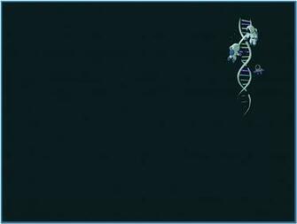 Dna Double Helix Screensaver